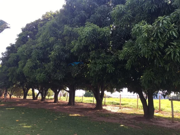Imagem Chácara à Venda para criação de cavalos em Boituva