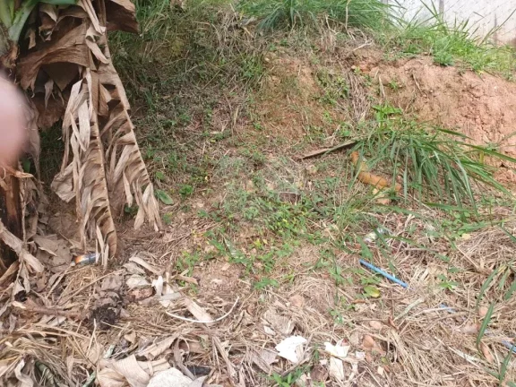 Imagem Terreno à venda em Butantã, São Paulo - SP