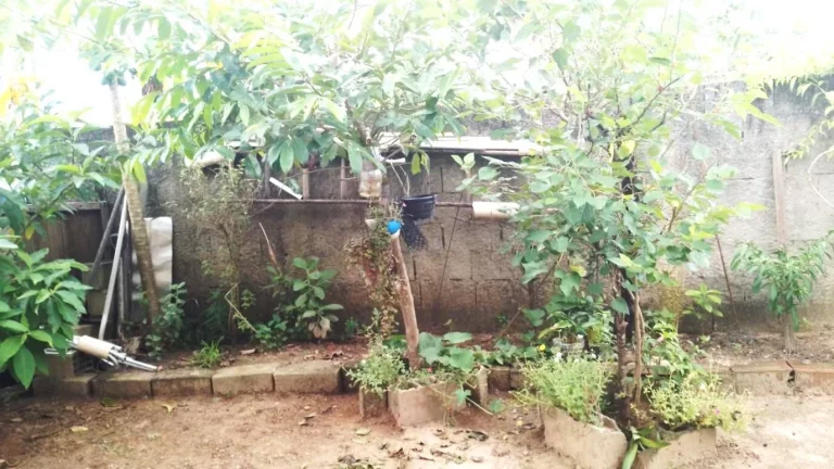 Imagem Casa à venda na Ilha Comprida litoral Paulista
