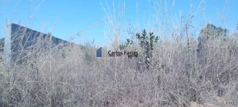 Imagem Chácara para Venda em Brasília, Setor Habitacional Jardim Botânico