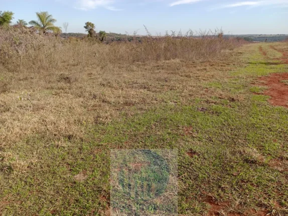 Imagem Sítio vende 10 alqueires em Altinópolis - SP, terra de cultura, vermelha e em pasto.