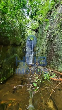 Imagem Refúgio na Serra Catarinense - 41 Hectares com 85% de Mata Nativa
