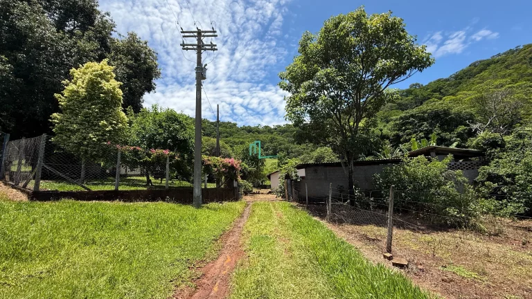 Imagem SÍTIO DE 24,99 ALQUEIRES (60,49 hectares) em RIFAINA/SP COM ESTRUTURA COMPLETA, 03 CASAS SIMPLES, E MUITA ÁGUA..