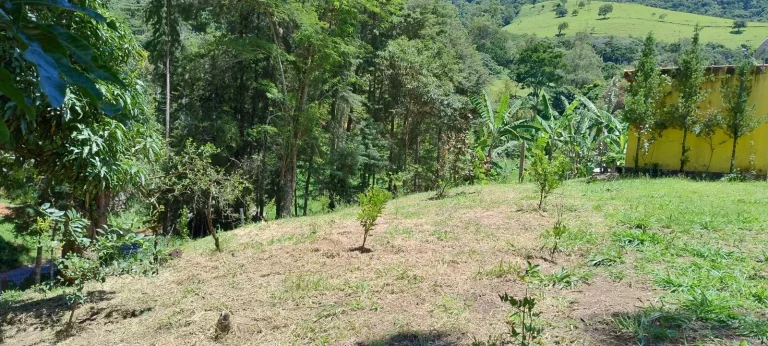 Imagem CHACARA 12.000 MTS - BAIRRO ANHUMAS - ITAJUBÁ - MG