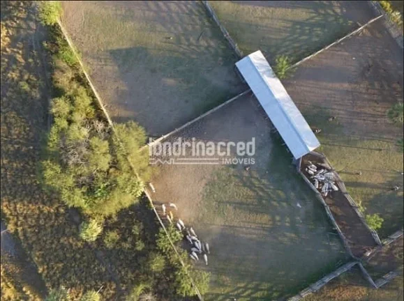 Imagem Fazenda à Venda no Paraguai por 900 dólares por hectare com Alto Potencial Pecuário