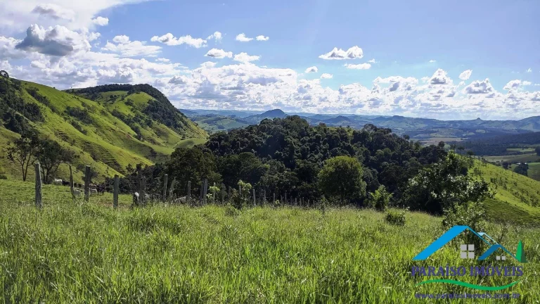 Imagem Paraíso Particular: 14,32 ha, com Vista Panorâmica e Natureza Preservada!
