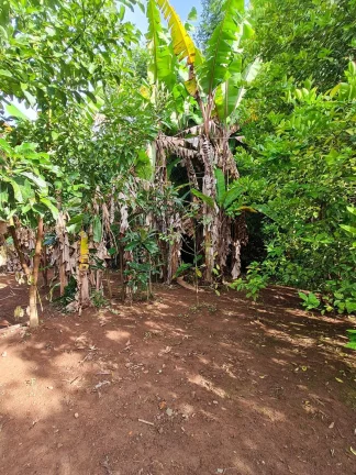 Imagem CHÁCARA LOCALIZADA NA PAINEIRA