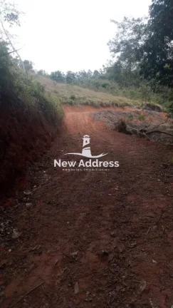Imagem Terreno com 11.500 m², Platô Pronto, Lago e Nascente à Venda em Domingos Martins