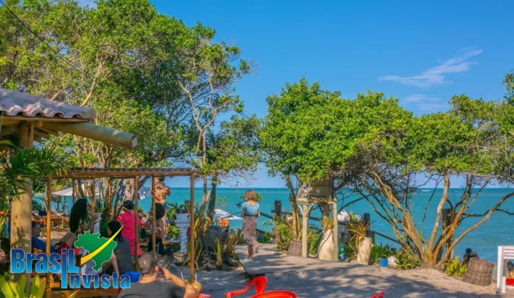 Imagem CABANA DE PRAIA ECOLÓGICA EM PORTO SEGURO