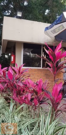 Imagem VILA CLEMENTINO PX AO METRÔ DUPLEX!!!