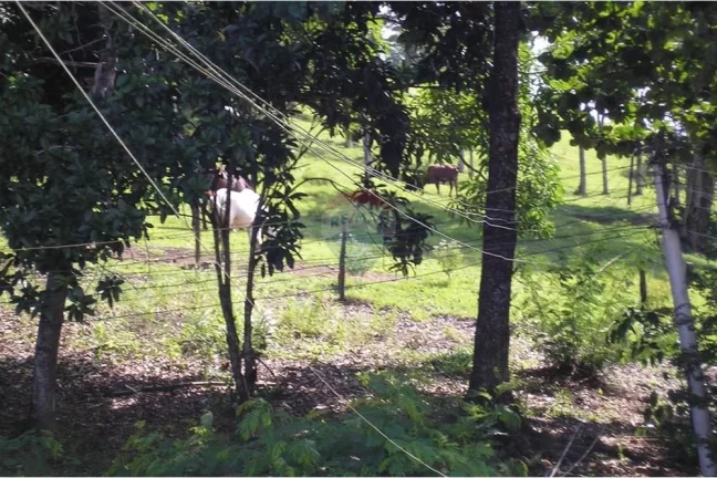Imagem "Adquira Sua Fazenda dos Sonhos na Agro Brasil, RJ!"