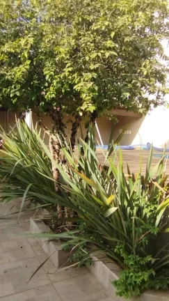 Imagem Casa com 4 Quartos à Venda, 280 m² em Santa Rosa - Sarzedo