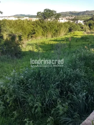 Imagem Terreno à venda 36000M², Centro, Jacarezinho - PR
