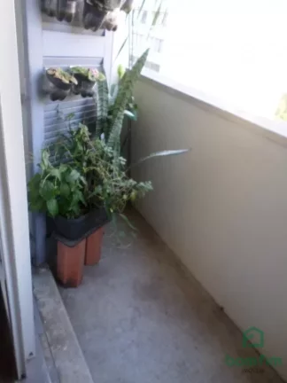 Imagem Apartamento para venda, 3 quarto(s), Centro Histórico, Porto Alegre - AP2661