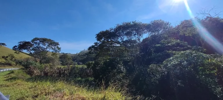 Imagem Terreno à venda no bairro Cedro - Cunha/SP