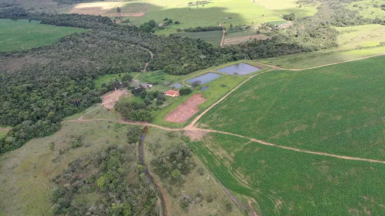Imagem Fazenda à Venda em Santa Cruz de Goiás – Dupla Aptidão!