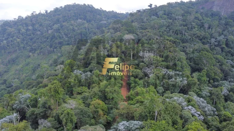 Imagem Vende-se uma incrível Fazenda de 80 alqueires, localizada a apenas 80 km de Colatina!