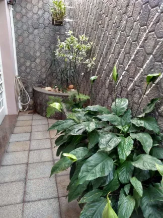Imagem Casa Padrão