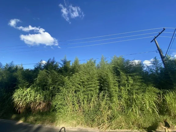 Imagem Terreno à Venda com 15.961,90 m2 na Colônia Rodrigo Silva
