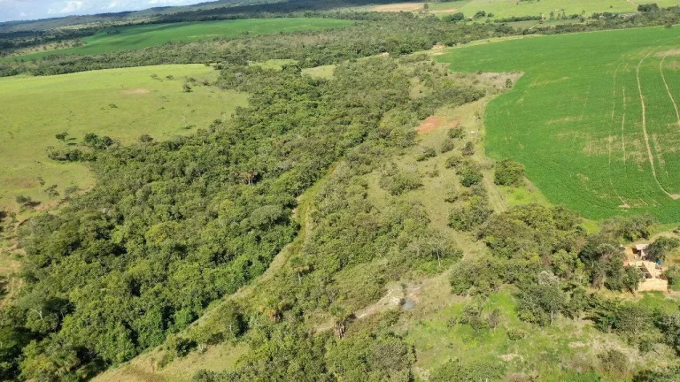 Imagem Fazenda à Venda em Santa Cruz de Goiás – Dupla Aptidão!
