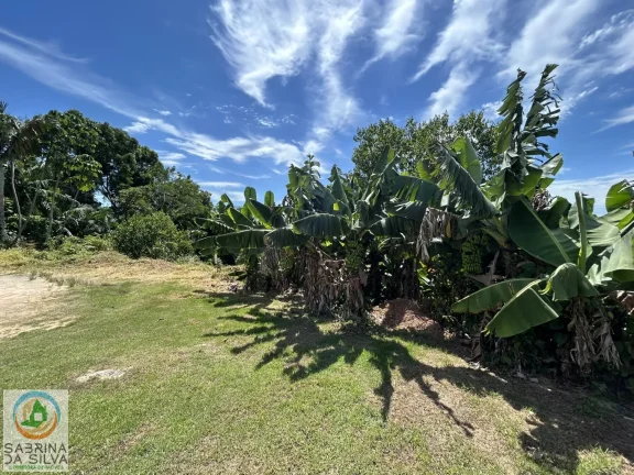 Imagem Lote/Terreno - Itoupavazinha - Blumenau