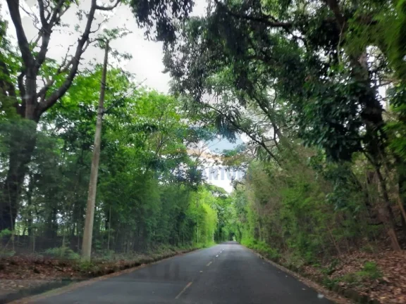 Imagem Chácara - Ribeirão Preto - Bonfim Paulista - Região Sul
