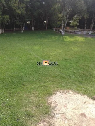 Imagem Chácara à Venda, 15 m² em Piên
