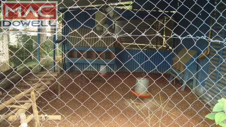 Imagem Sitio de 13.000 m² com benfeitorias - VENDA - Sambaetiba - Itaboraí/RJ