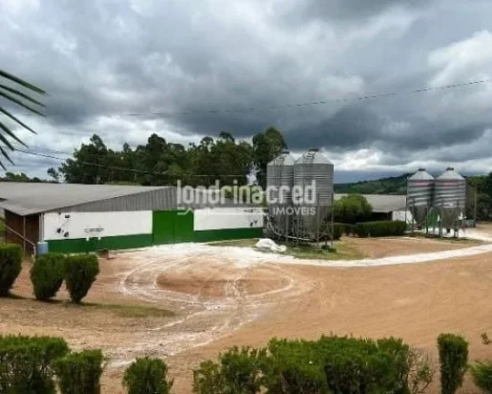 Imagem Sítio à venda, RURAL, Roncador, PR