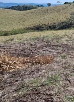 Imagem Fazenda à Venda, 8.373.200 m² em Zona Rural - Jacutinga