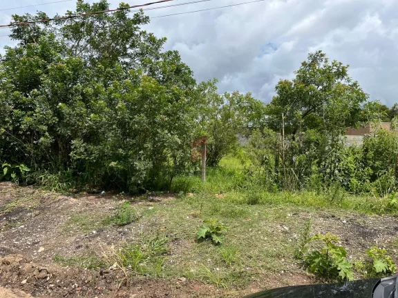 Imagem ÁREA à venda com 3363.3m² por R$ 1.400.000,00 no bairro Canguiri - COLOMBO / PR
