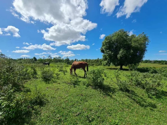 Imagem Fazenda à Venda, 251 m²