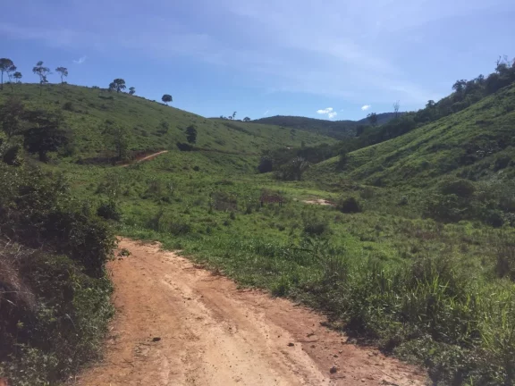 Imagem FAZENDA RURAL em COLATINA - ES, ÁREA RURAL DE COLATINA