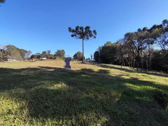 Imagem CHÁCARA NA REGIÃO NO BUGRE EM BALSA NOVA