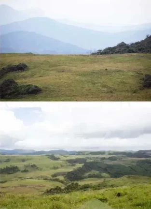 Imagem Terreno com 20,000m² em Urubici/SC