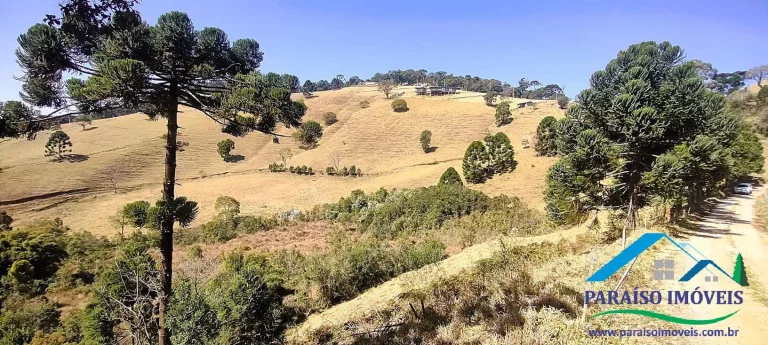Imagem Conecte-se à Natureza: Terreno Rural com Nascente e Vista Panorâmica!