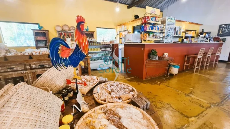 Imagem Restaurante/Ponto Comercial à Venda no Pé da Serra - Ubatuba / SP.