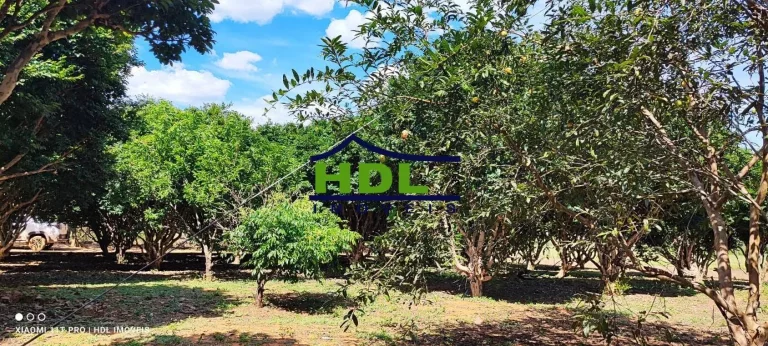 Imagem Chácara 4,34 Hectares com 5 Tanques de peixes em Hidrolândia