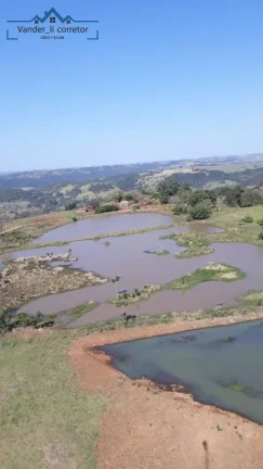 Imagem Chacara de 1,5 alqueires à venda localizado no Distr. de São Roque Sta Helena -