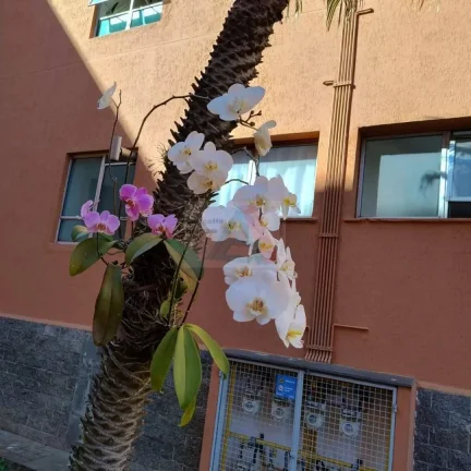 Imagem Apartamento para Venda em São Caetano – 2 Dormitórios, 1 Vaga, Lazer – Ed.