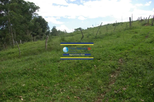 Imagem Sítio 14 alqueires com estrutura, casa, água e energia, R$ 90.000,00 valor do alqueire - Jacuí - Minas Gerais