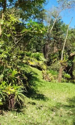 Imagem Terreno Comercial para Venda em Nova Friburgo, Mury, 1 dormitório, 1 banheiro, 3 vagas