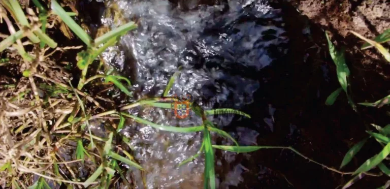 Imagem Fazenda à venda, 5422080 m² por R$ 30.000.000,00 - Alexânia - Alexânia/GO