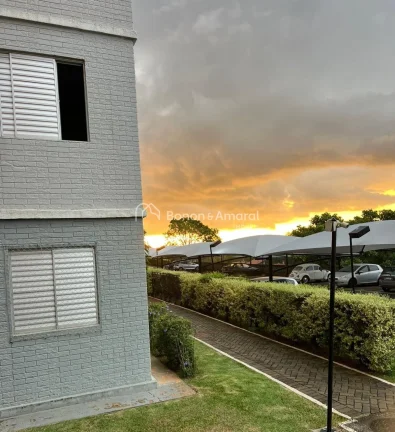 Imagem Apartamento com 2 Dormitórios para ALUGAR na Região do Nova Europa - Campinas