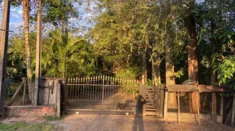 Imagem Sítio à venda em Tanguá, com 20 quartos, 2800m2
