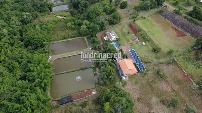 Imagem Excelente Chácara à Venda no Rancho Ringo - Área Total de 15.000m², com benfeitorias!