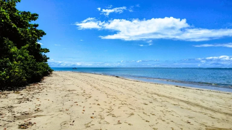 Imagem Terreno à venda em Velha Boipeba, Cairu - Oportunidade única!