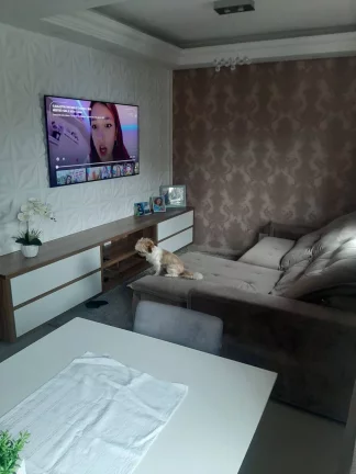Imagem Terreno com Linda Casa não Averbada no Pinheirinho