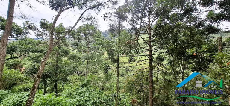 Imagem Mergulhe na Serenidade da Serra da Mantiqueira: Terreno com Cachoeira
