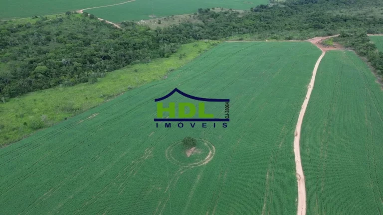 Imagem Fazenda 70 Alqs Dupla Aptidão plantada em Soja em Bela Vista GO